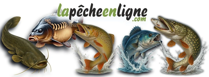 Bannière de lapecheenligne