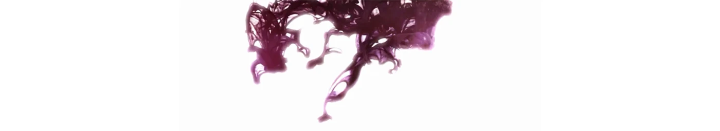 Banner image of RC-Shirt