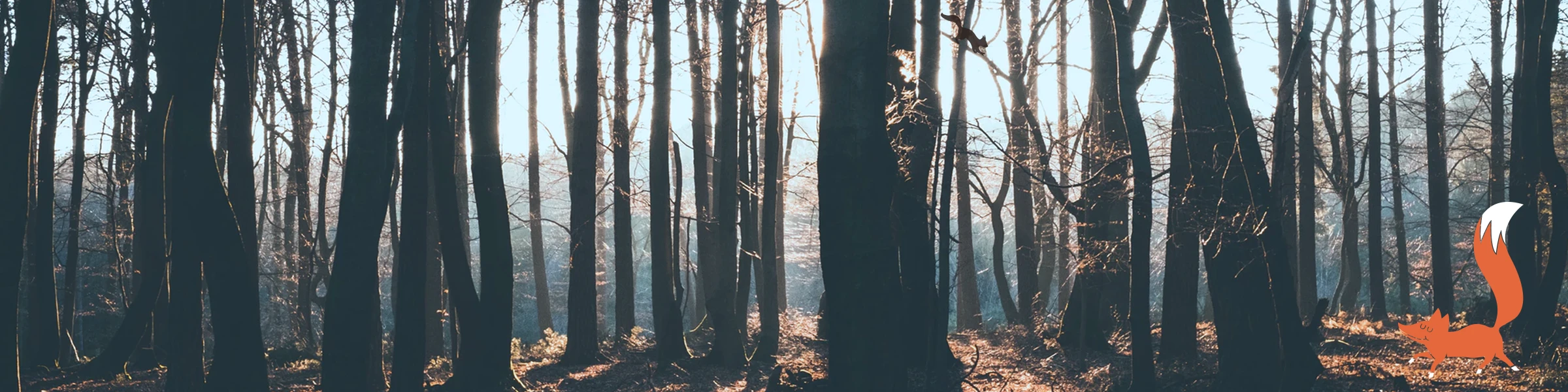 Bannerbild von Zombie-Pinguin