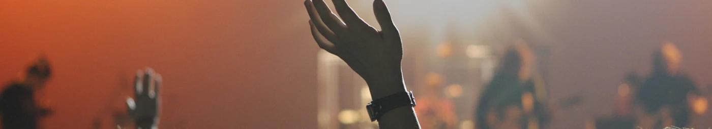 Banner image of Viking26