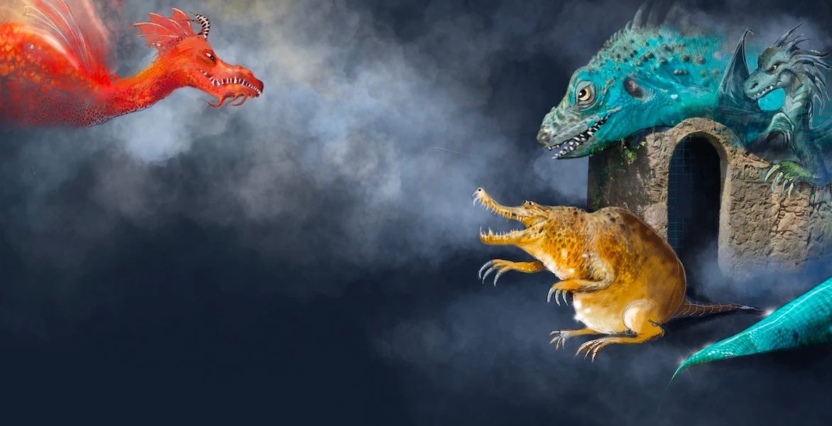 Banner image of MIKOshirt