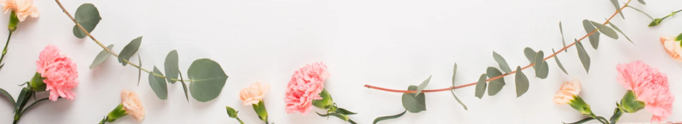 Banner image of Mylenstein Design