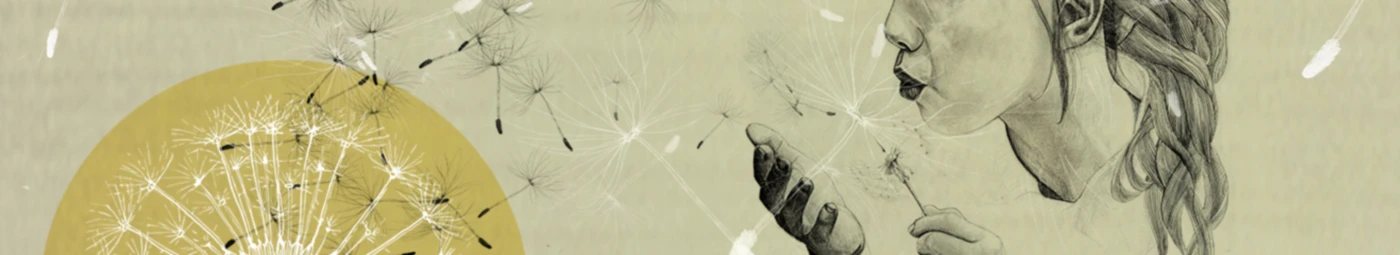 Bannerbild von webervogel