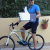 angeloweb