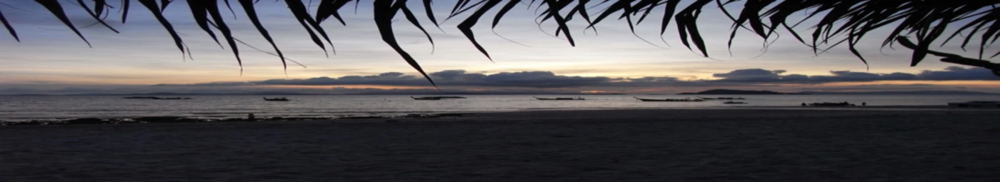 Banner image of nodel