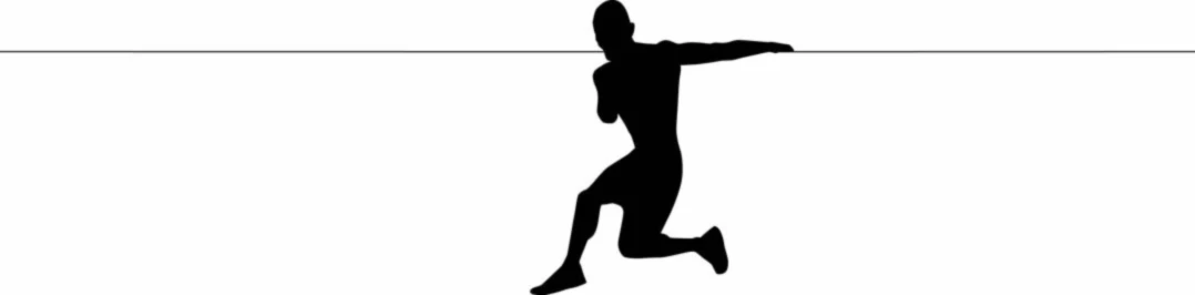 Banner image of designfish