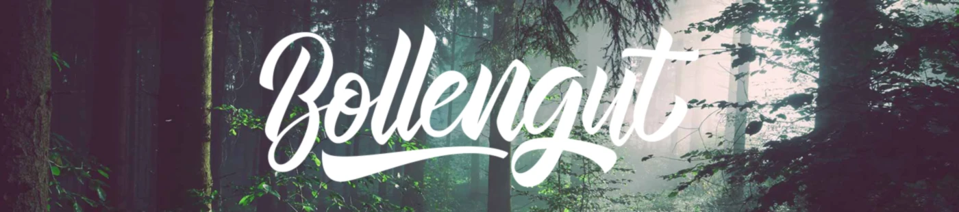 Bannerbild von bollengut