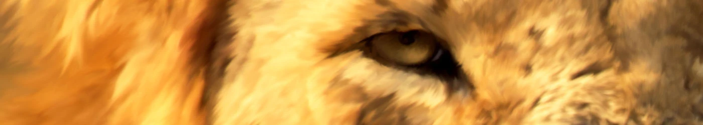 Banner image of AnthonyZed