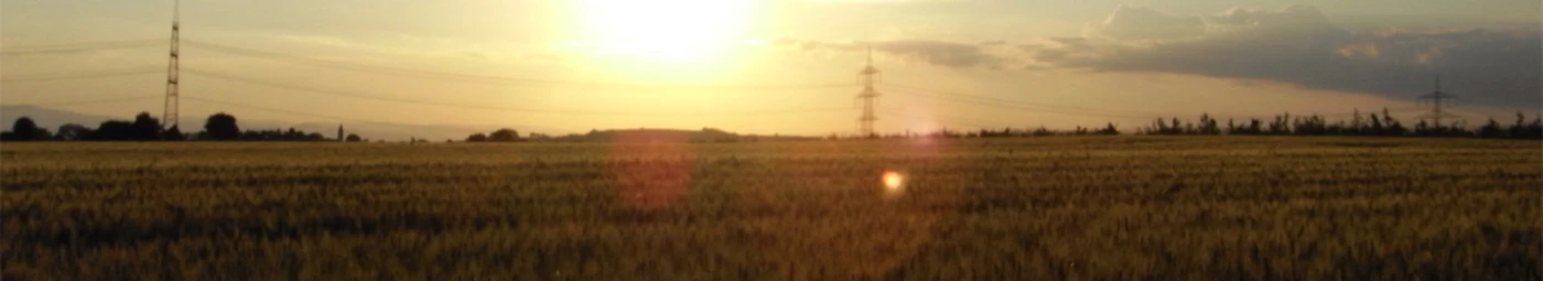 Bannerbild von a.rosano.design