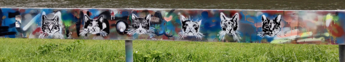 Banner image of Done By Me