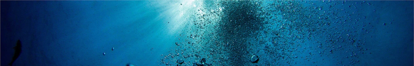Bannière de graphicdiving