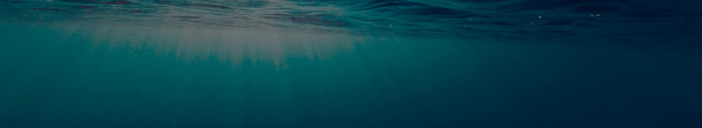 Banner image of COOLart