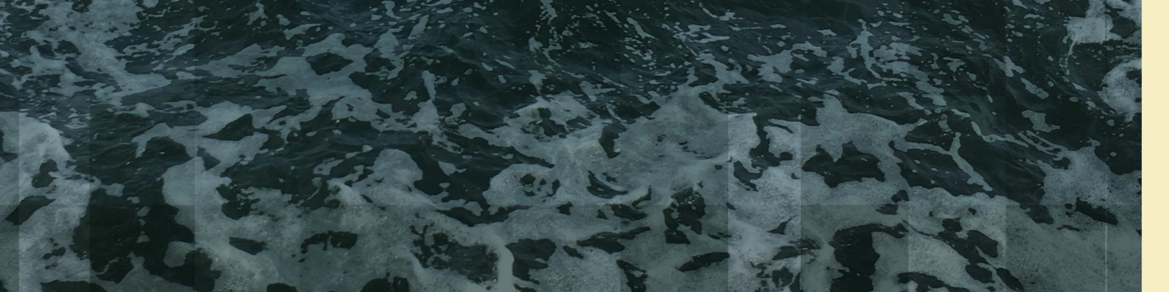 Banner image of chrghd