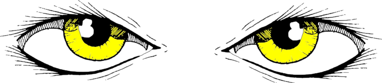 Banner image of I. Brandt