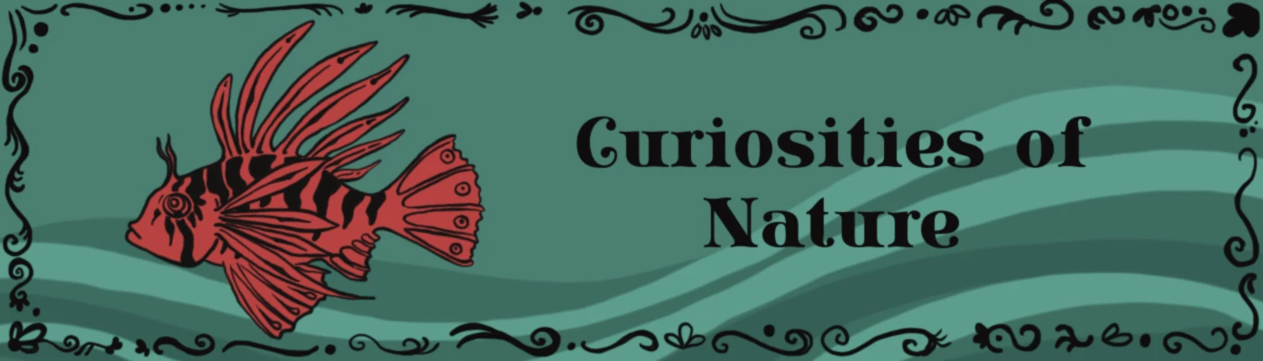 Banner image of Eva Susanne Stinnesbeck