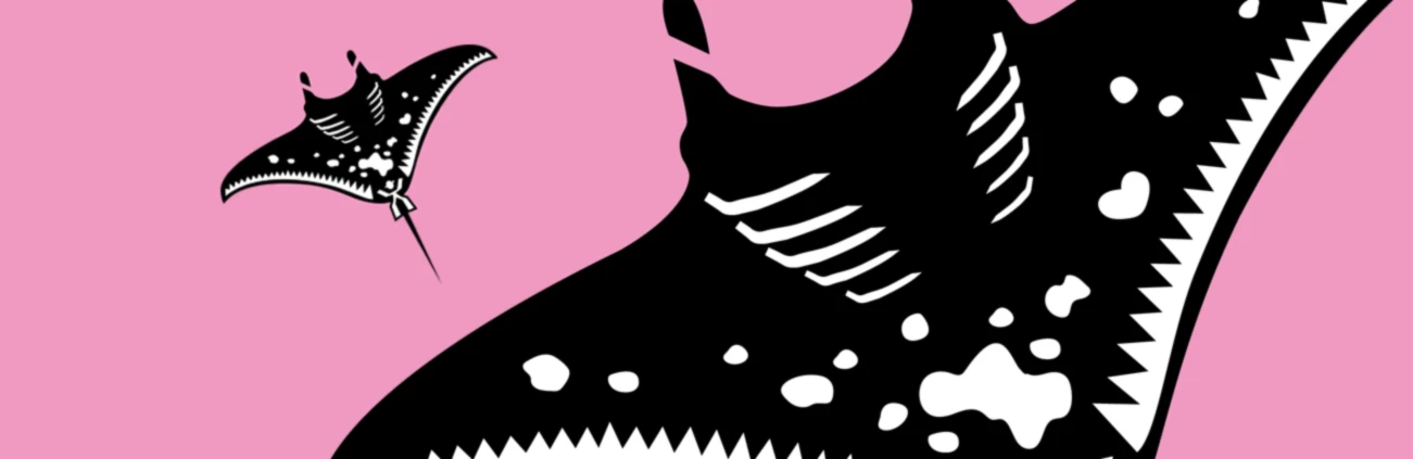 Bannière de MANTA CREATION