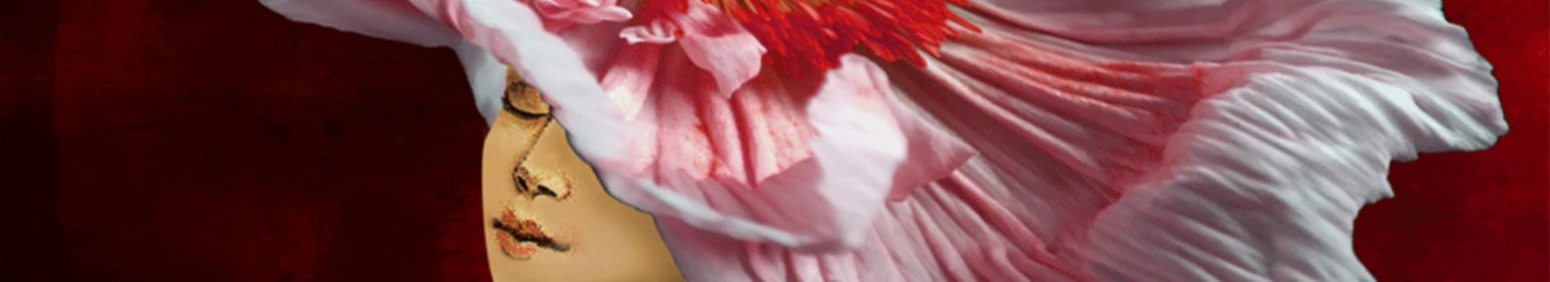 Banner image of Toscainrot