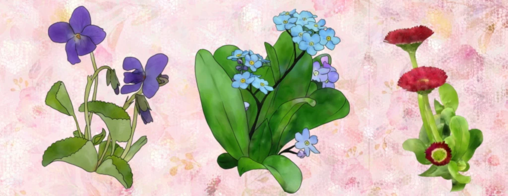 Bannière de Blumchen