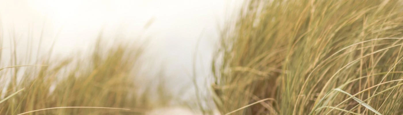 Bannerbild von DRUCK-KOST