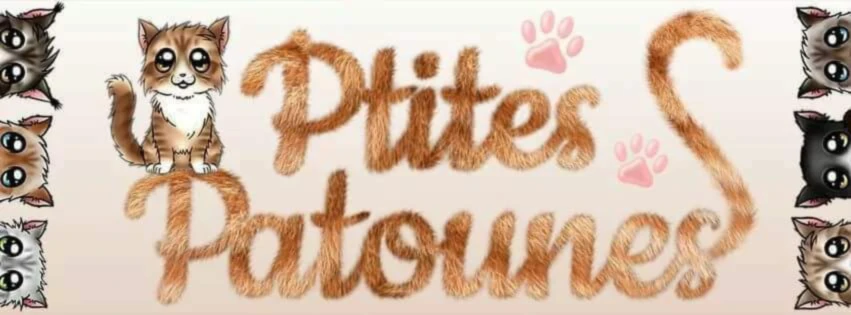 Bannière de Ptites Patounes