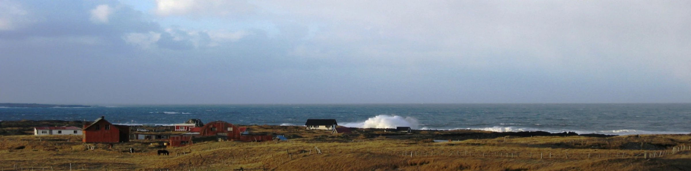 Banner image of islandshirts